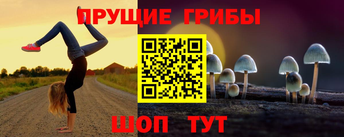 Псилоцибиновые грибы MAGIC MUSHROOMS  где купить   Вход с VPN  Лиски  Галлюциногенные грибы прущие грибы 